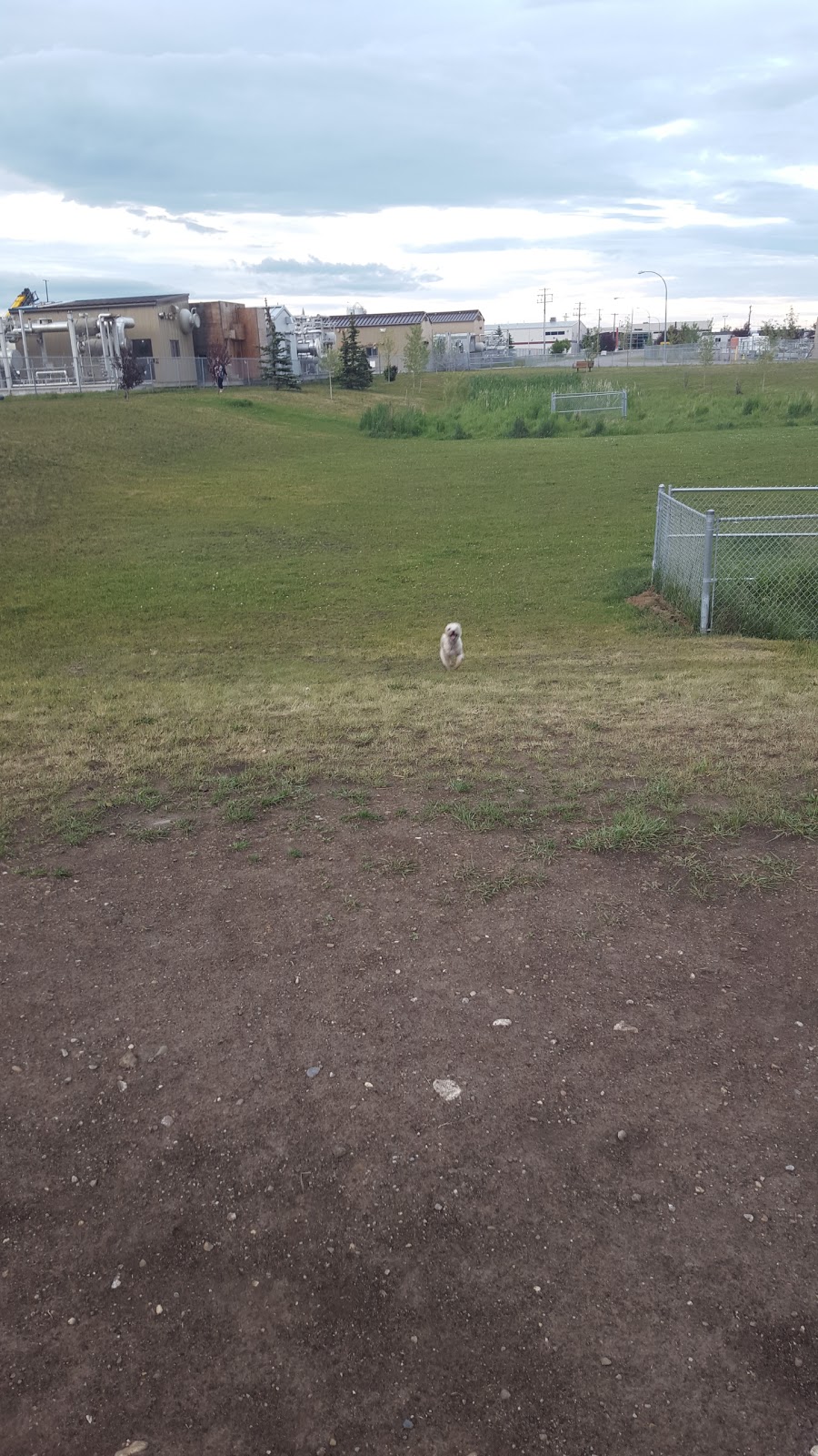 Small Dog Only Park | 36 East Lake Ave NE, Airdrie, AB T4A 2G8, Canada