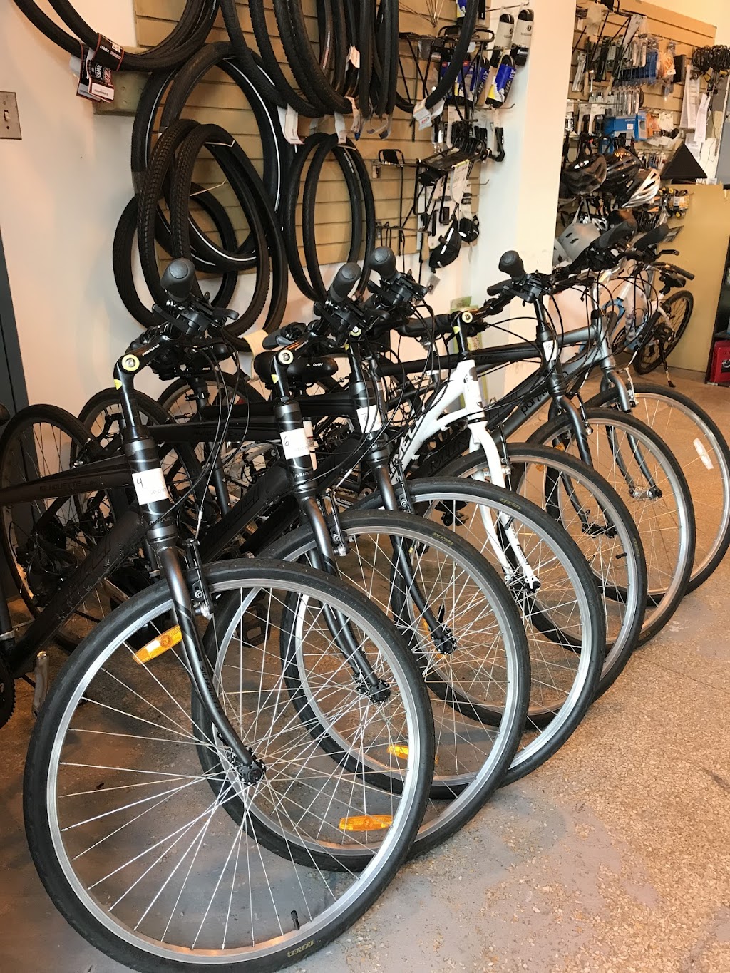 Le Vélo Vert - Lévis | 5995 Rue Saint-Laurent, Lévis, QC G6V 3P5, Canada | Phone: (418) 837-2103