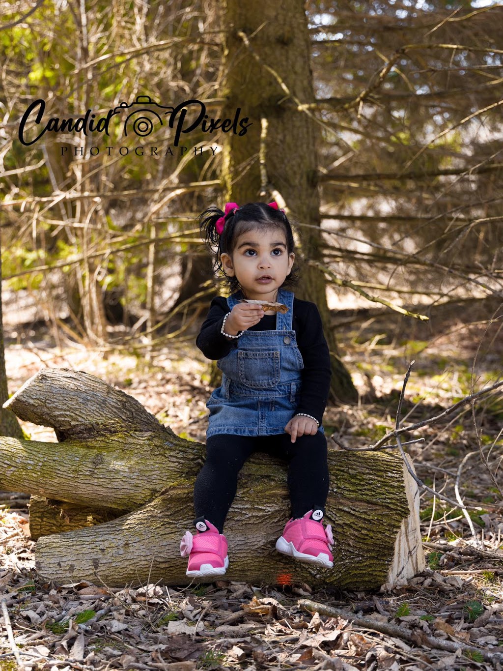 Candid Pixels Photography Studio | Inspire Blvd, Brampton, ON L6R 3W6, Canada | Phone: (647) 985-5701