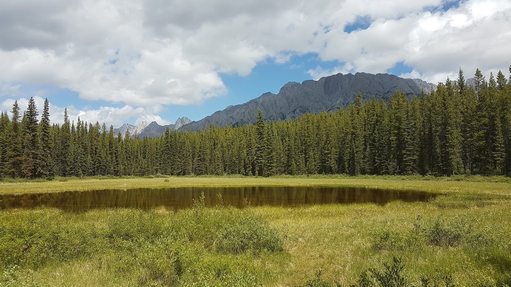 Elkwood Campground | Kananaskis, AB T0L, Canada | Phone: (403) 678-0760