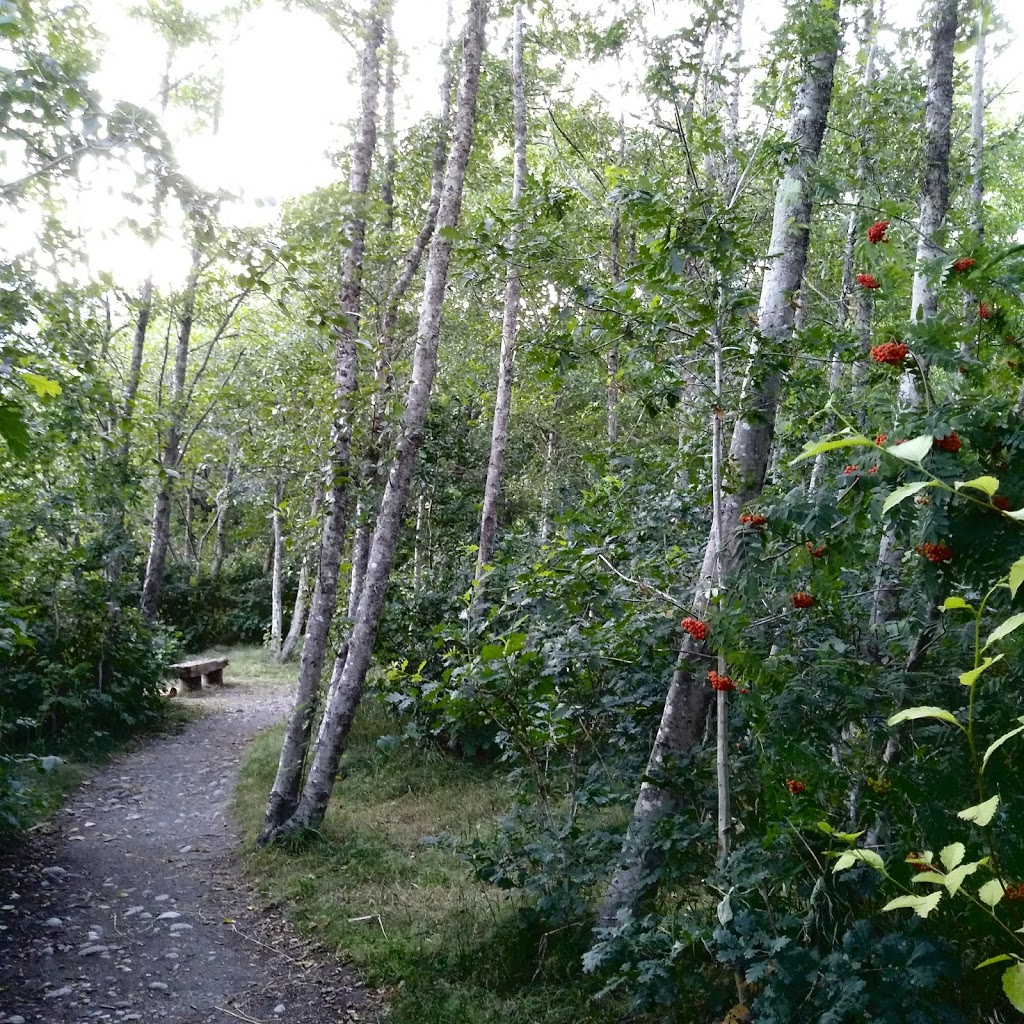 Oceanfront Loop Trail | Unnamed Road, Squamish, BC V8B 0K1, Canada