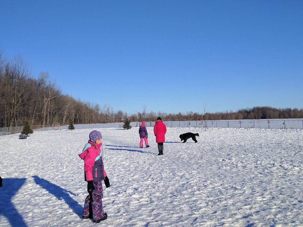 Parc canin Dog Park | 550 Notre Dame St, Russell, ON K4R 1E5, Canada | Phone: (613) 443-3066