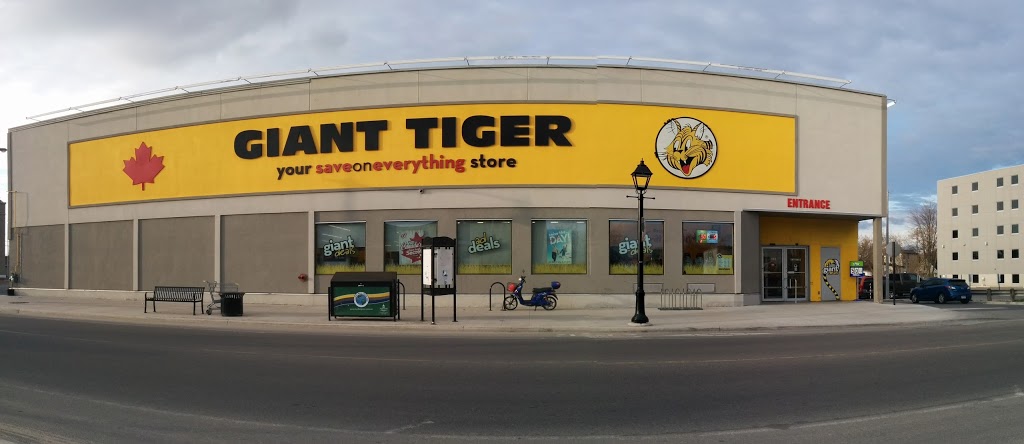 Giant Tiger | 811 Princess St, Kingston, ON K7L 1G6, Canada | Phone: (613) 547-5128