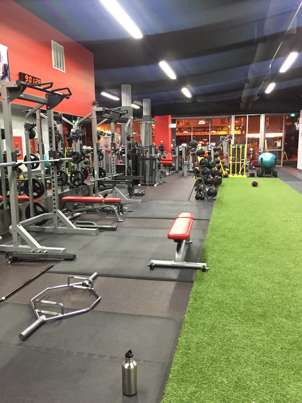 Vive Fitness 24/7 Lakeshore Etobicoke | 2873 Lake Shore Blvd W, Etobicoke, ON M8V 1J2, Canada | Phone: (416) 792-8483