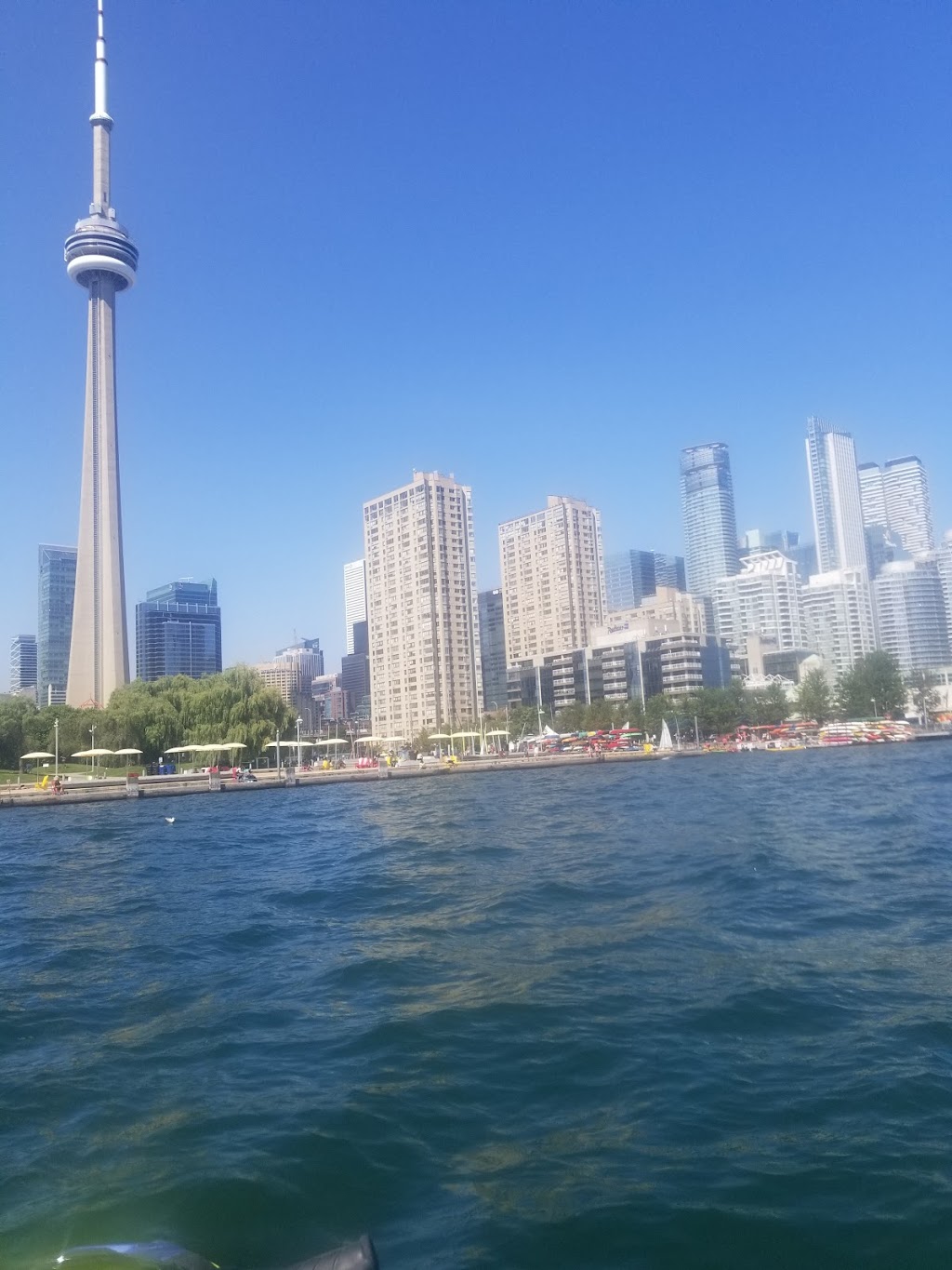 416Navy Jet Ski Tours | 955 Lake Shore Blvd W, Toronto, ON M6K 3B9, Canada | Phone: (647) 957-9406