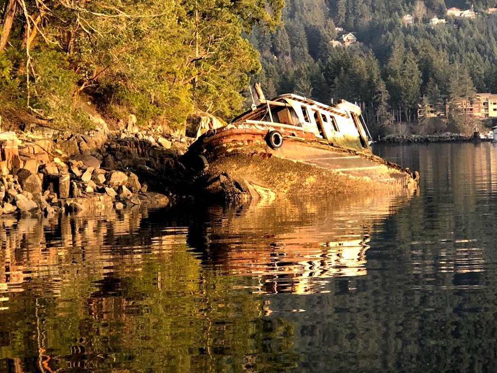 Slo Cat Pender Harbour Tours | 12967 Madeira Park Rd, Madeira Park, BC V0N 2H0, Canada | Phone: (604) 741-3796