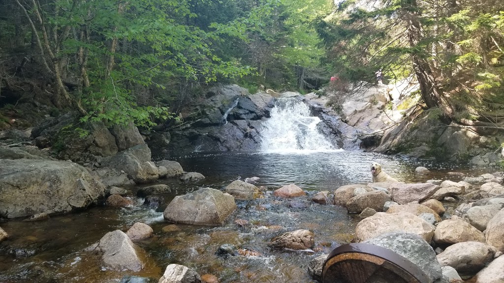 Long Beach Brook Falls Trailhead | Fundy Trail Pkwy, Saint Martins Parish, NB E5R, Canada | Phone: (866) 386-3987