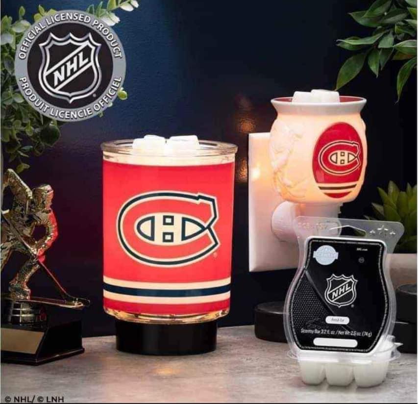 Siobhan Snodgrass Independent Scentsy Consultant | 188 Dunsdon St A, Brantford, ON N3R 6T3, Canada | Phone: (226) 583-8288