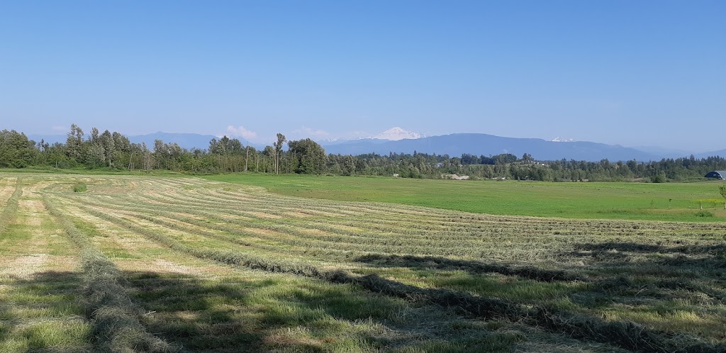 Majestic View Farm | 1212 Lefeuvre Rd, Abbotsford, BC V4X 1H7, Canada | Phone: (604) 833-3881