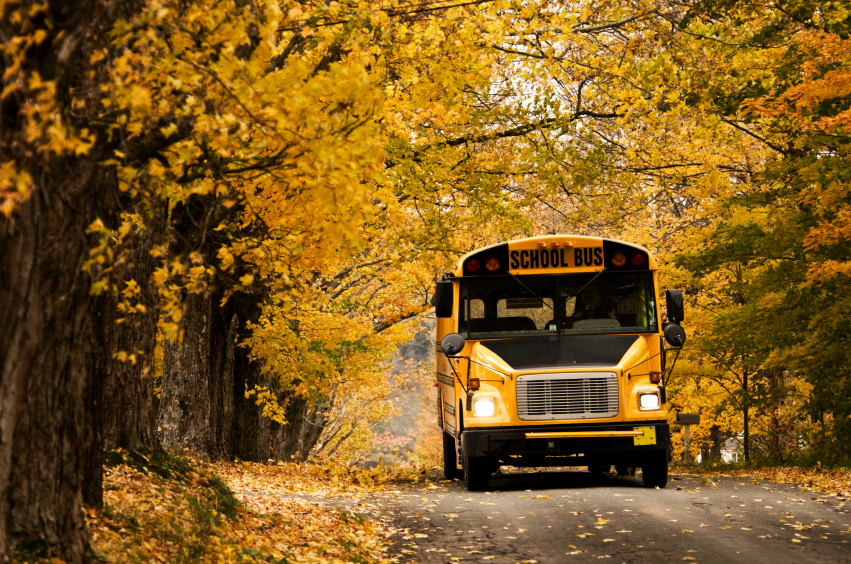 Landmark Bus Lines | 254 Nelson St E, Alliston, ON L9R 1J5, Canada | Phone: (705) 435-2629