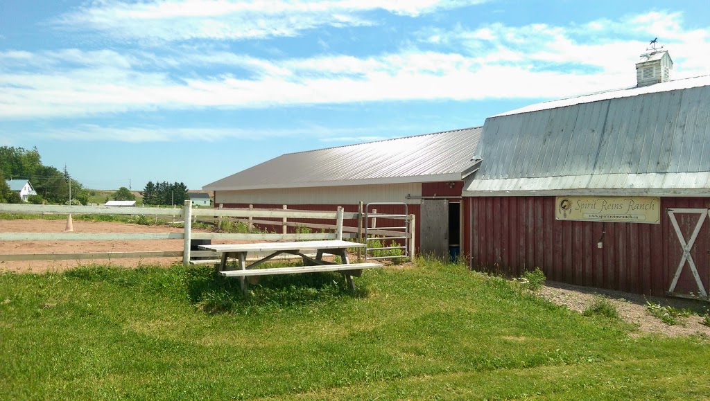 Spirit Reins Ranch | 432 Prospect Rd, Parrsboro, NS B0M 1S0, Canada | Phone: (902) 254-3138