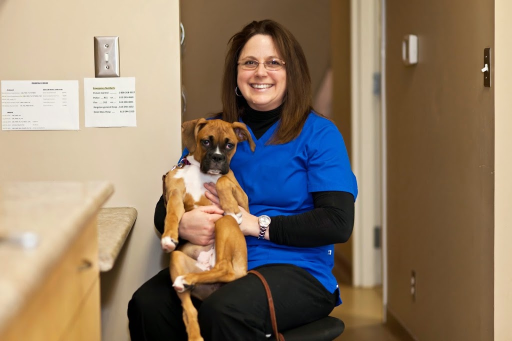 Bayridge Animal Hospital | 732 Milford Dr, Kingston, ON K7P 1C6, Canada | Phone: (613) 634-2001