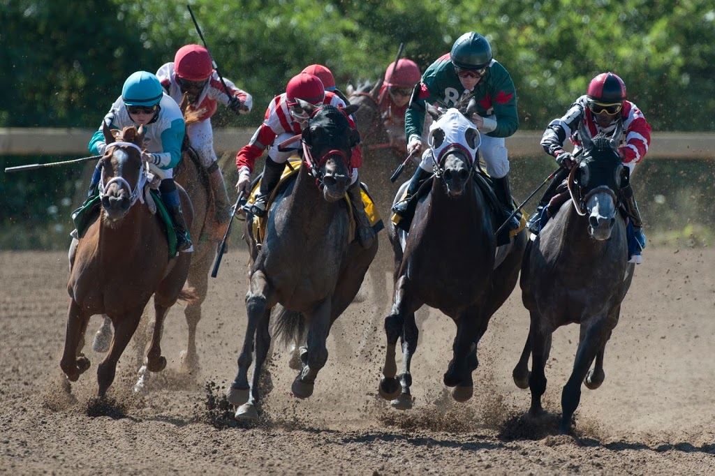 Fort Erie Race Track | 230 Catherine St, Fort Erie, ON L2A 5N9, Canada | Phone: (905) 871-3200