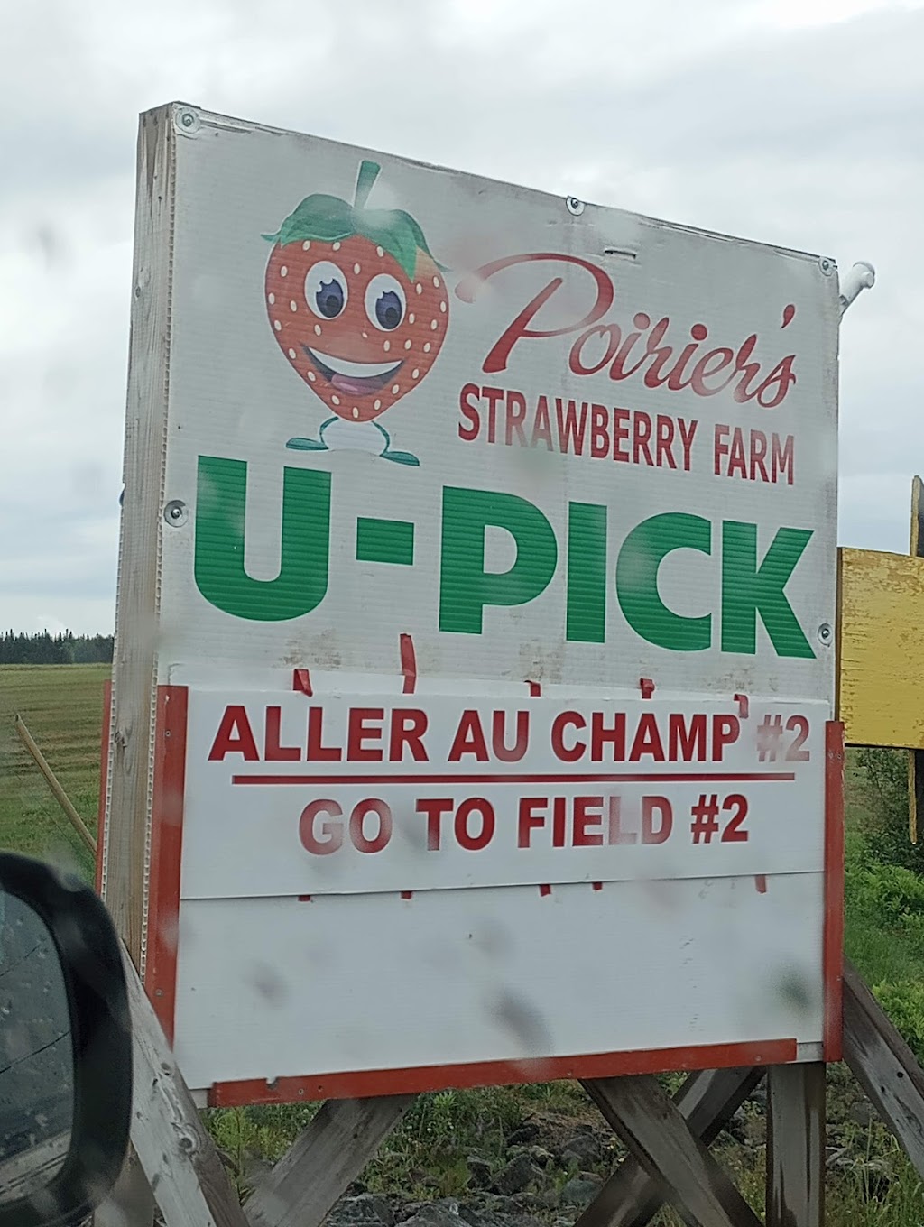 Poirier Strawberry Farm | 11 Chem. Poirier, Saint-Édouard-de-Kent, NB E4S 4T9, Canada | Phone: (506) 743-2922