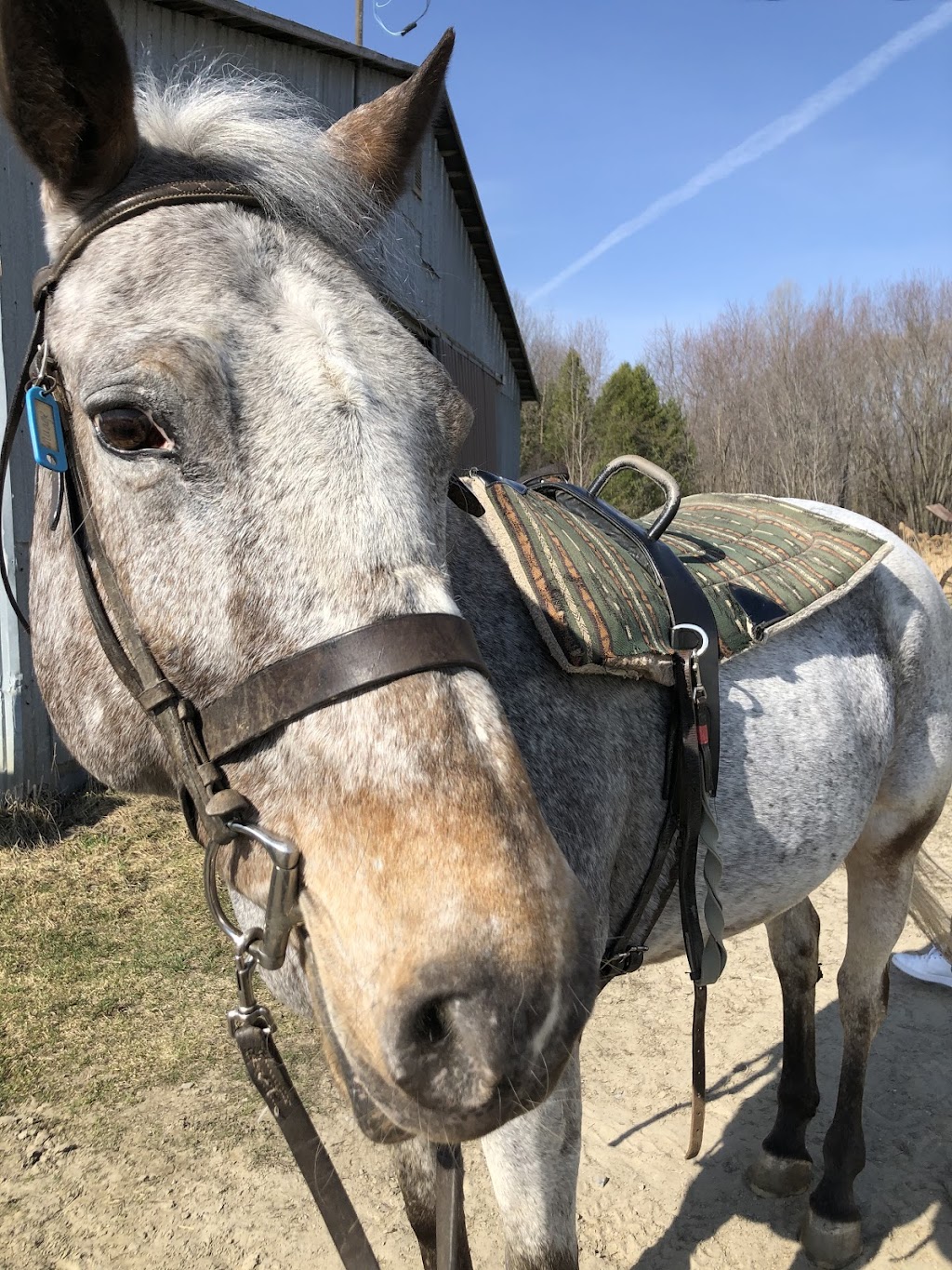 Ferme LAuteuilloise | 830 Bd des Mille-Îles, Laval, QC H7J 1E7, Canada | Phone: (450) 625-8826