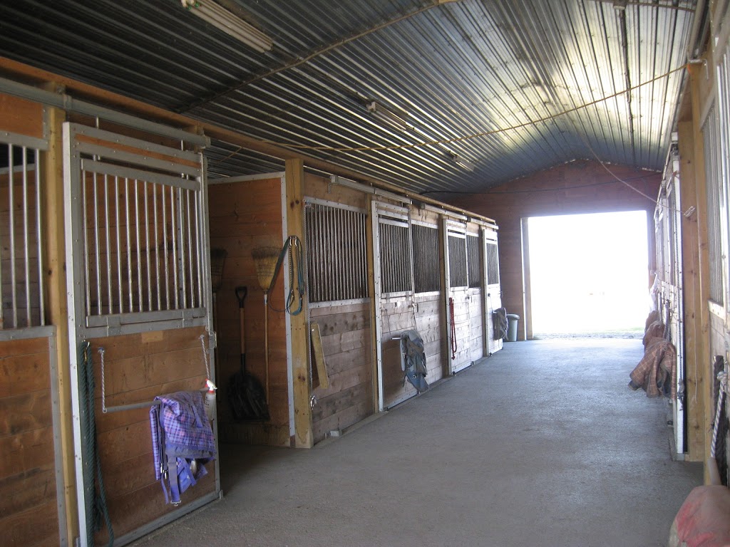 Maplewood Equestrian Centre | 3178 Dunning Rd, Sarsfield, ON K0A 3E0, Canada | Phone: (613) 510-1200