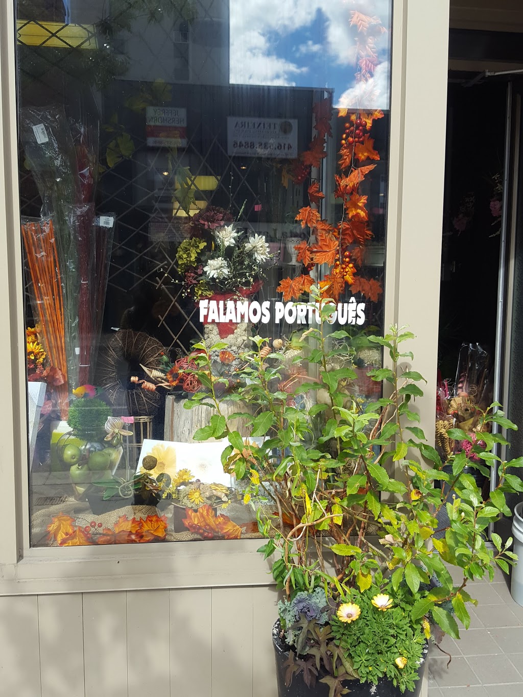 Flowers & Twigs Ltd. | 1685 Dundas St W, Toronto, ON M6K 1V2, Canada | Phone: (416) 537-8268