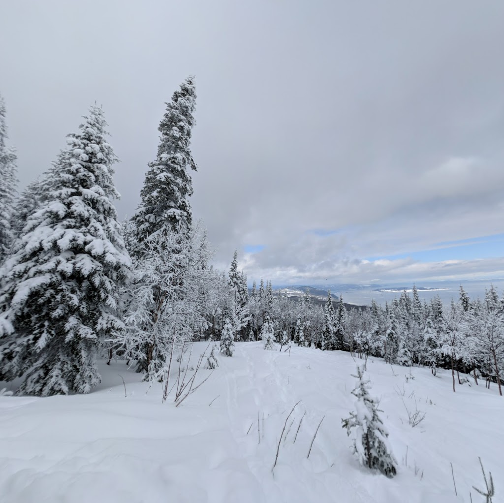 Sentier des Caps de Charlevoix - Acceuil Chalevoix | Chemin du Massif, Petite-Rivière-Saint-François, QC G0A 2L0, Canada | Phone: (418) 435-4163