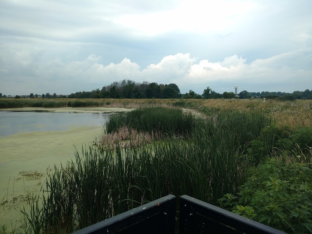 Port Rowan Restored Wetland | Norfolk County, ON N0E 1M0, Canada