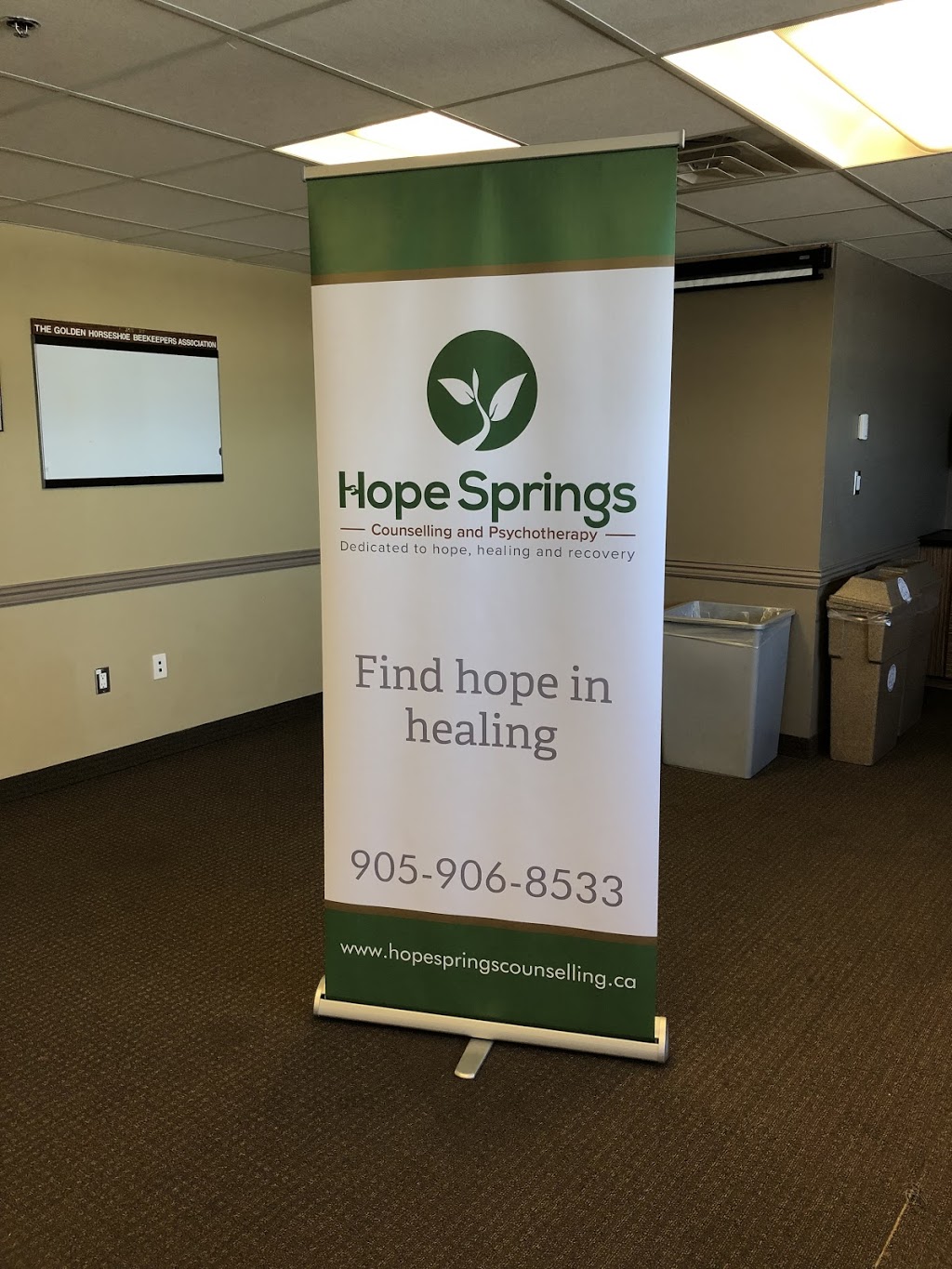 Hope Springs Counselling and Psychotherapy Services | 466 Colborne St, Brantford, ON N3S 3N7, Canada | Phone: (905) 906-8533