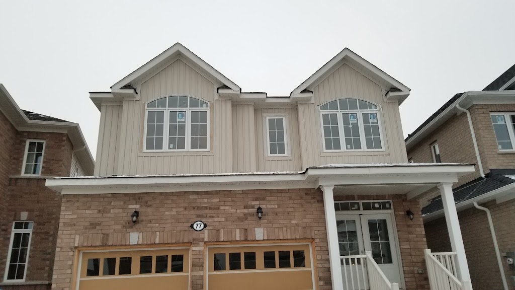 Petra pro exterior finish | 11 Oak St, Georgetown, ON L7G 5T7, Canada | Phone: (647) 780-3969