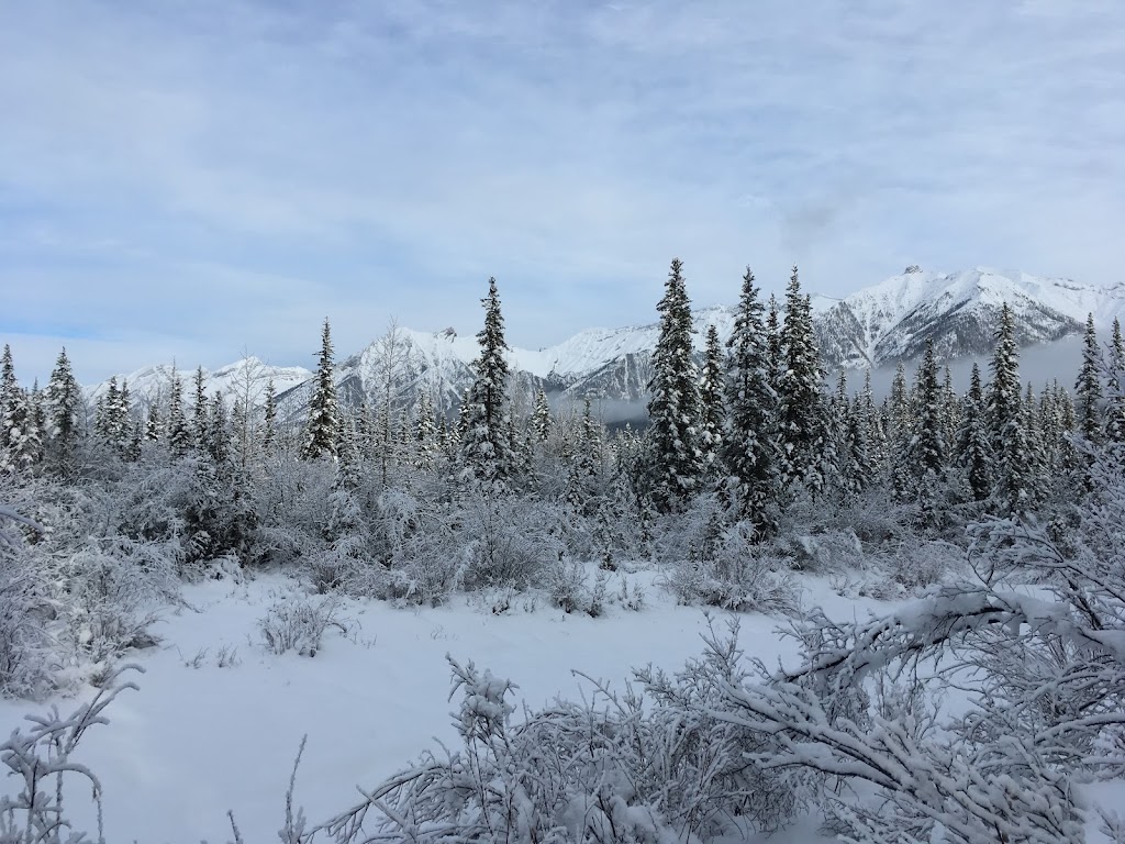 Canmore Trails and Tales | Canmore Recreation Centre Tour Meeting Location, Canmore, AB T1W 1Y2, Canada | Phone: (403) 679-1572