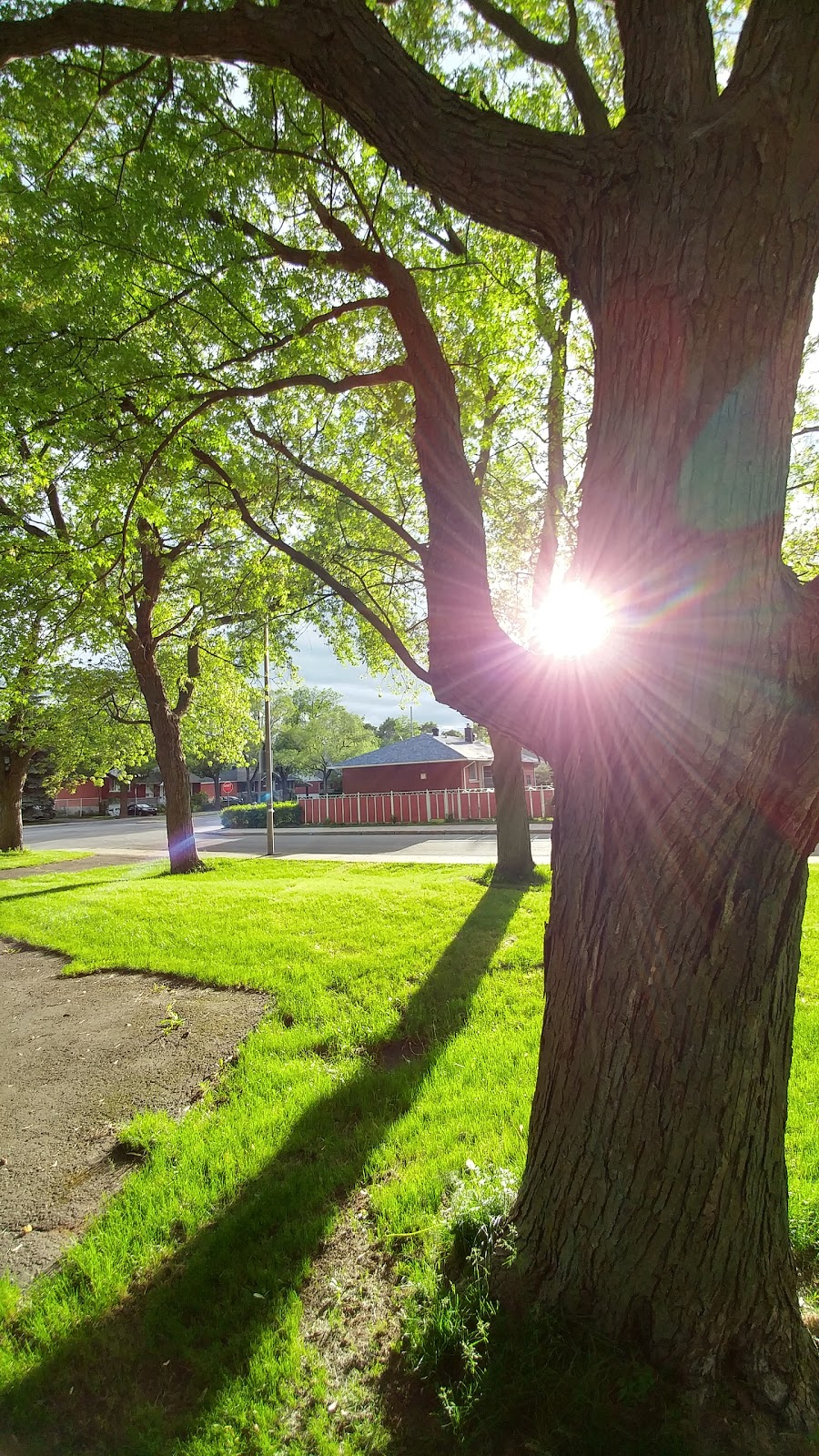 Parc Mignault | 6629 Rue Senneterre, Montréal, QC H1M, Canada