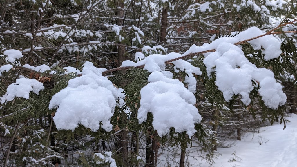 Gamiing Nature Centre | 1884 Pigeon Lake Rd, Lindsay, ON K9V 4R5, Canada | Phone: (705) 928-0263