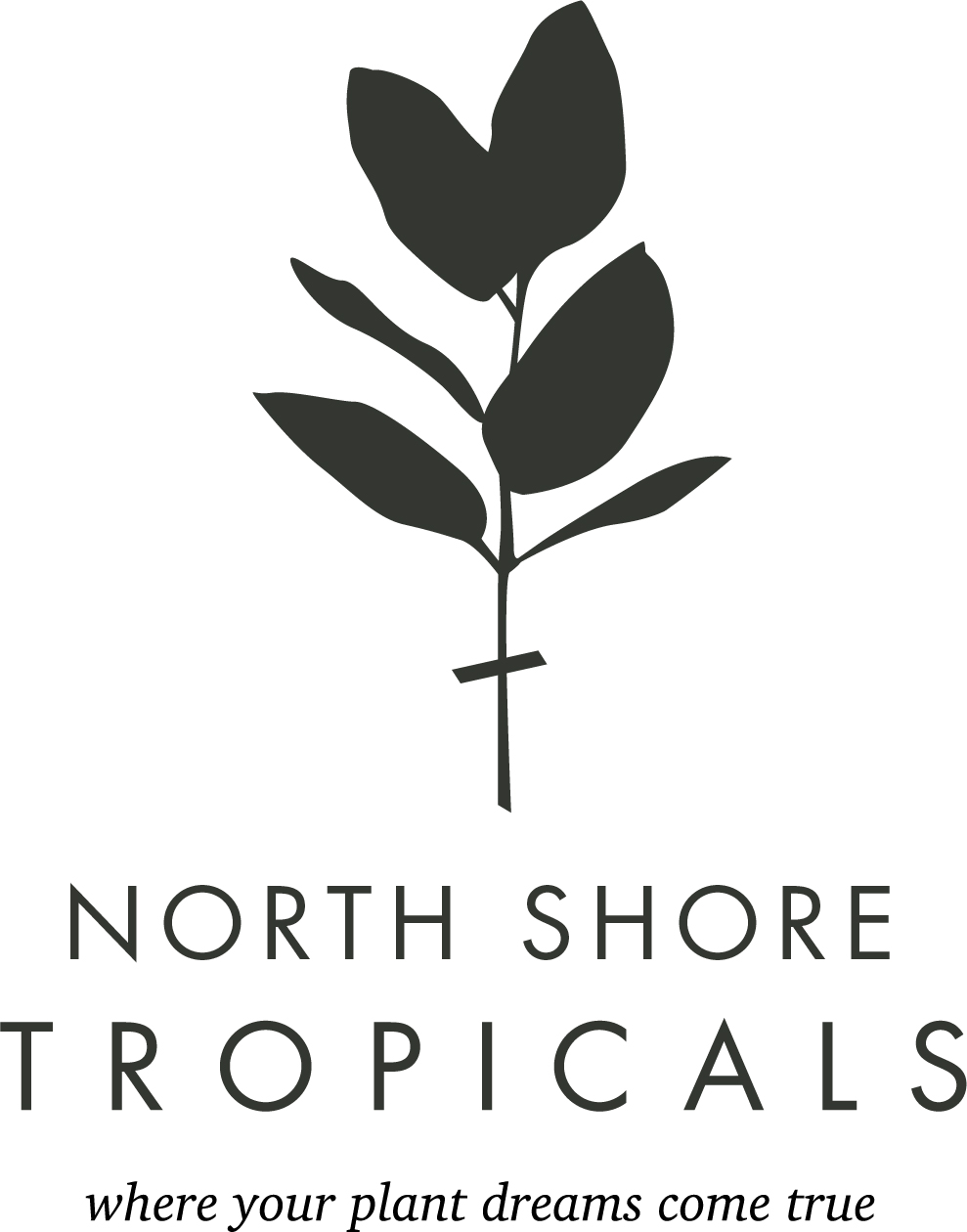 North Shore Tropicals | 173 Forester St #103, North Vancouver, BC V7H 0A6, Canada | Phone: (604) 369-1649