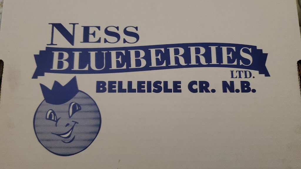 Ness Blueberries Ltd | 19 Church Ln, Belleisle Creek, NB E5P 1P5, Canada | Phone: (506) 485-1999