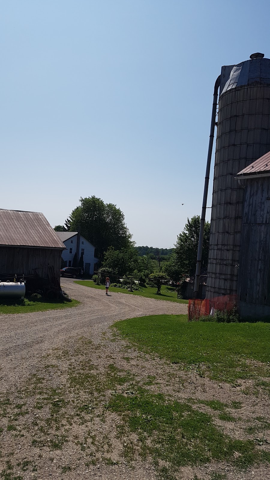 Orange Blossom Farm | 1290 Martin Creek Rd, Waterloo, ON N2J 3Z4, Canada | Phone: (519) 664-1237