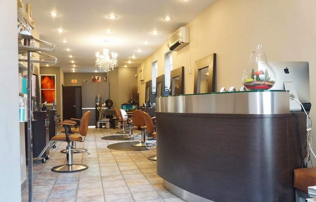 Salon One Inc | 445 Church, Toronto, ON M4Y 2C5, Canada | Phone: (416) 961-1663