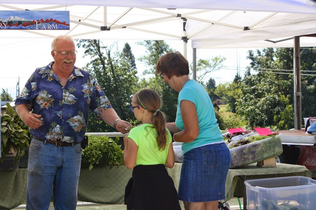 Cascade Blueberry Farm | 9791, 2667 Willeys Lake Rd, Custer, WA 98240, USA | Phone: (360) 366-5188