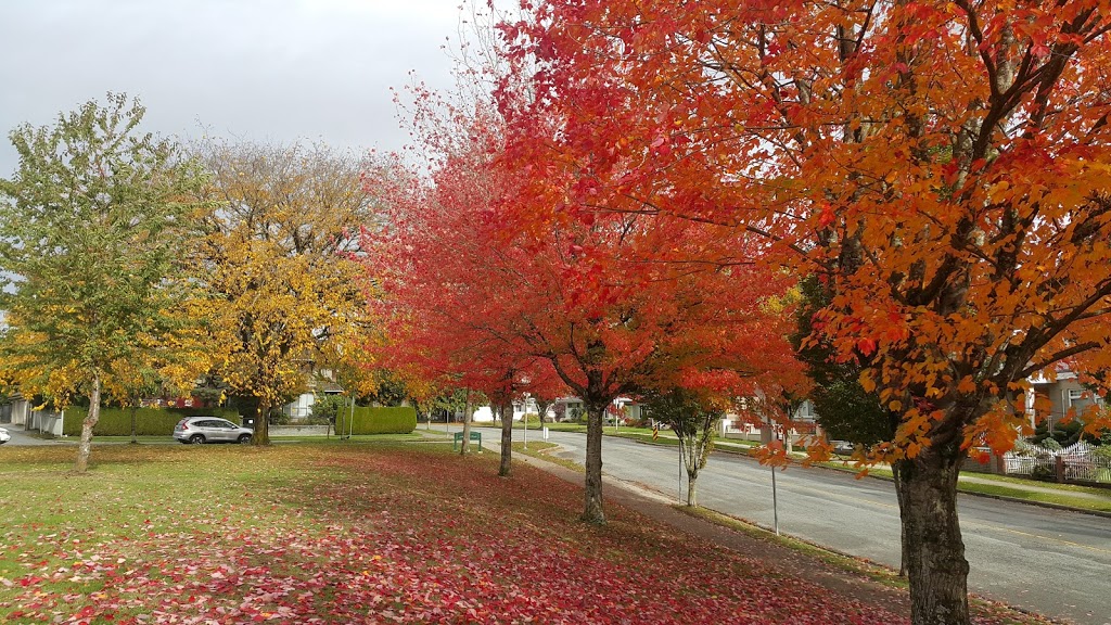 Bobolink Park | 2510 Hoylake Ave, Vancouver, BC V5S 2E2, Canada | Phone: (604) 873-7000