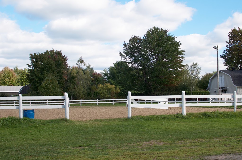 Party Poney | 7 1e Rang, Roxton Pond, QC J0E 1Z0, Canada | Phone: (450) 531-3127