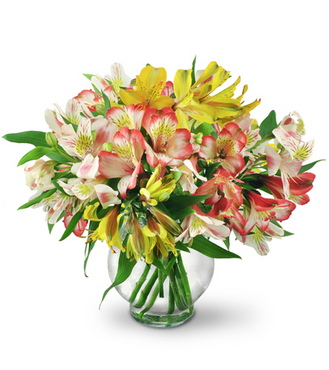 The Flower Shop | 827 Stewart Blvd, Brockville, ON K6V 5T4, Canada | Phone: (613) 342-6691