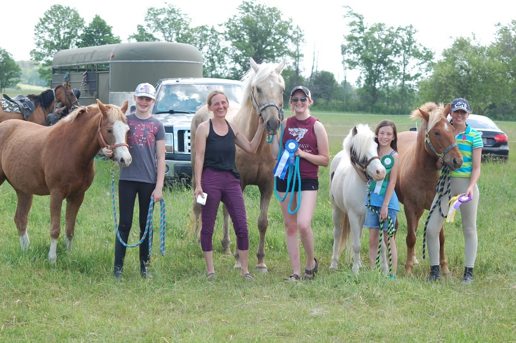 McNab Riding School | 1022 McLean Dr, Braeside, ON K0A 1G0, Canada | Phone: (613) 622-1027