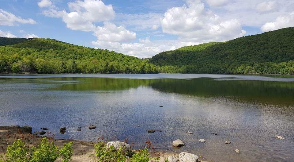 Gault Nature Reserve of McGill University | 422 Chemin des Moulins, Mont-Saint-Hilaire, QC J3G 4S6, Canada | Phone: (450) 467-4010