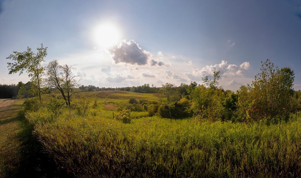 The Hummingbird Barn Venue | 5035 Wellington 125, Erin, ON L7J 2L9, Canada | Phone: (289) 349-1144