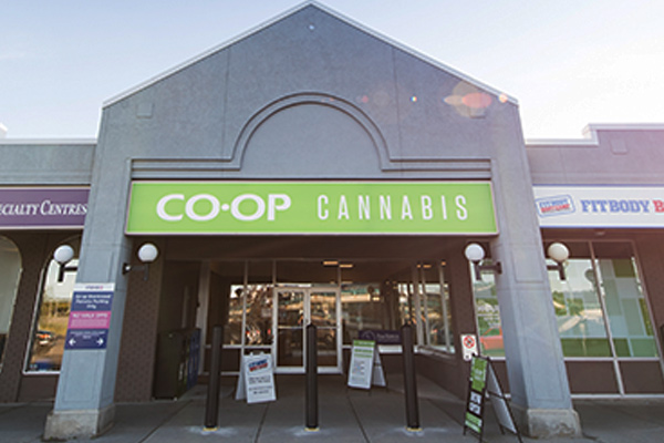 Co-op Cannabis Brentwood | 4122 Brentwood Road SE, Calgary, AB T2L 1K8, Canada | Phone: (403) 452-2560