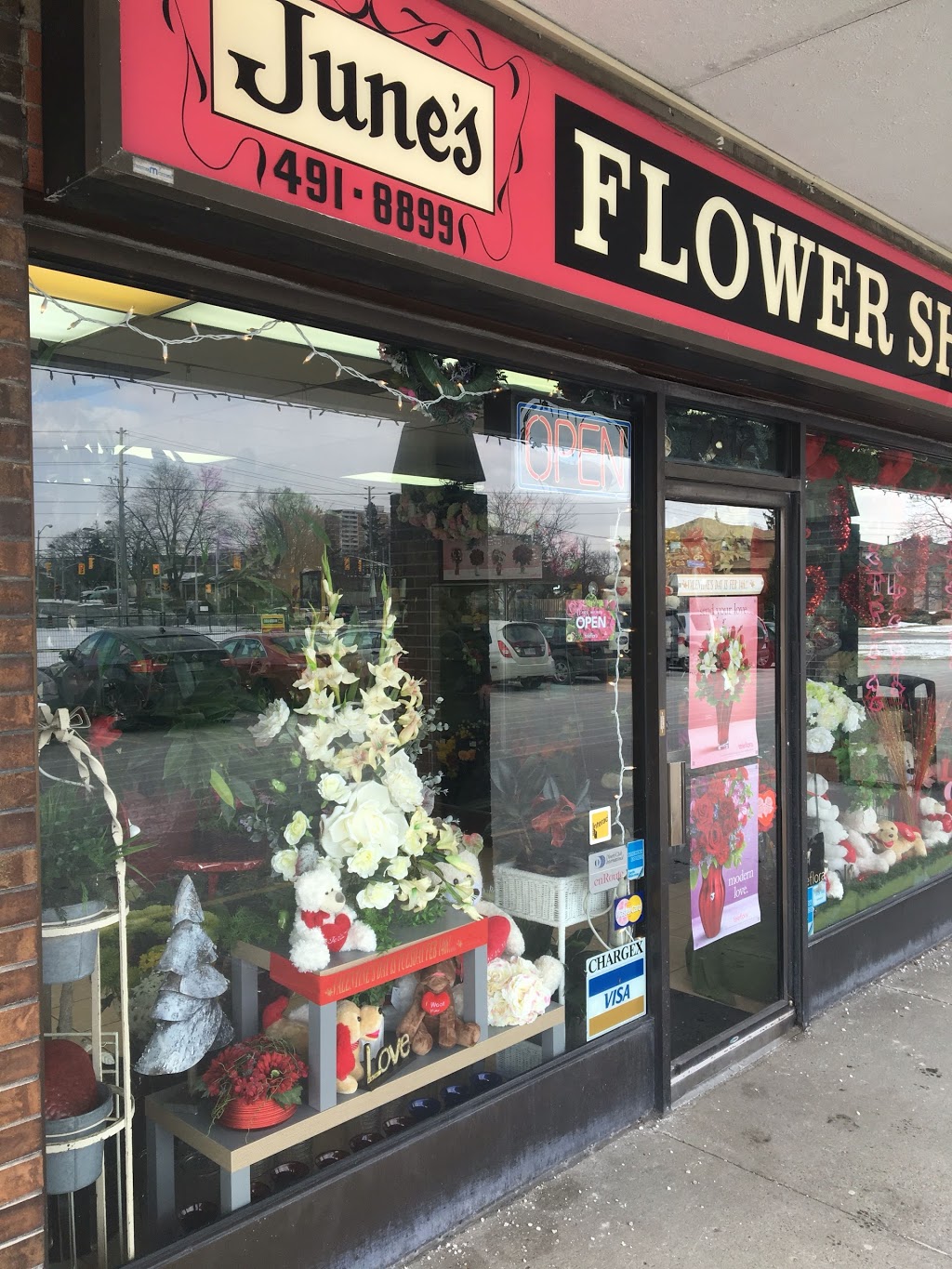 Junes Flower & Gift Shoppe | 2812 Victoria Park Ave, North York, ON M2J 4A8, Canada | Phone: (416) 491-8899