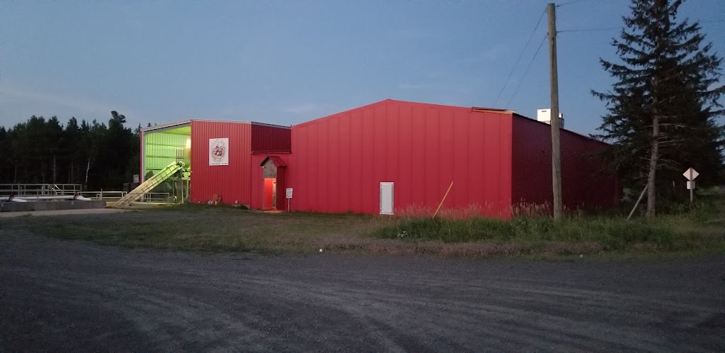 Fruit dOr NB Inc. | 191 Bells Mills Rd, Richibucto-Village, NB E4W 1C4, Canada | Phone: (506) 524-9897