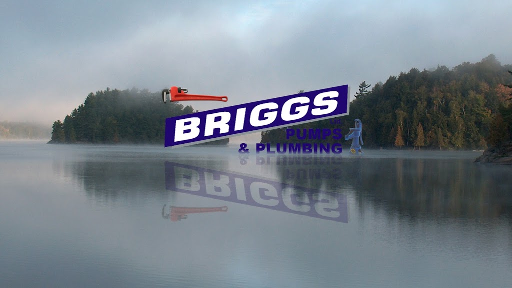 Briggs Pumps & Plumbing Ltd | 68 Brunel Rd, Huntsville, ON P1H 1R1, Canada | Phone: (705) 788-2894