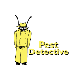 Pest Detective - South Okanagan | 5005 Lakeshore Dr #7, Osoyoos, BC V0H 1V6, Canada | Phone: (250) 689-7378