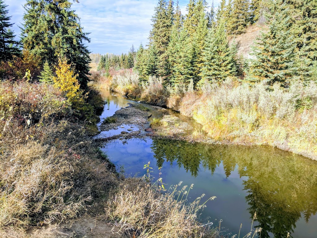 Larch Sanctuary | MacTaggart Sanctuary Trail Loop, Edmonton, AB T6J 5N2, Canada