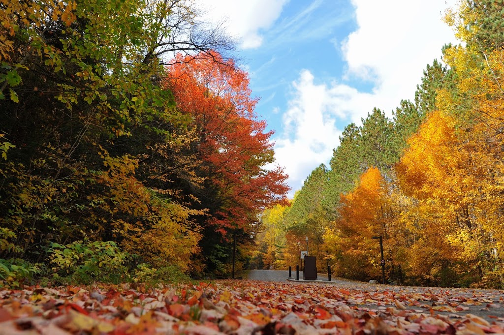 La Pêche Lake | Chemin Sincennes, Sainte-Cécile-de-Masham, QC J0X 2W0, Canada | Phone: (866) 560-6133