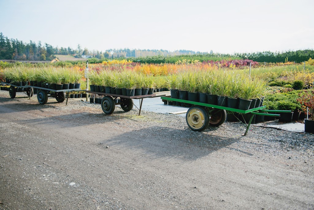 Island View Nursery | 2933 McIntyre Rd, Saanichton, BC V8M 1W3, Canada | Phone: (250) 544-4802