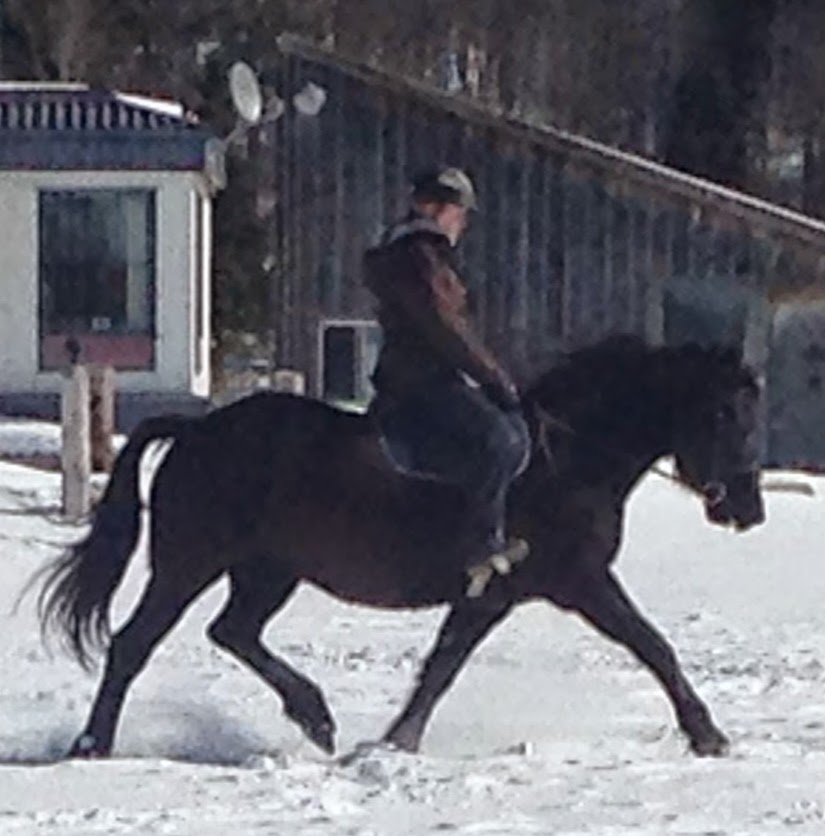 KL Equine | 104 Chemin Mclinton, Wakefield, QC J0X 3G0, Canada | Phone: (873) 353-0960