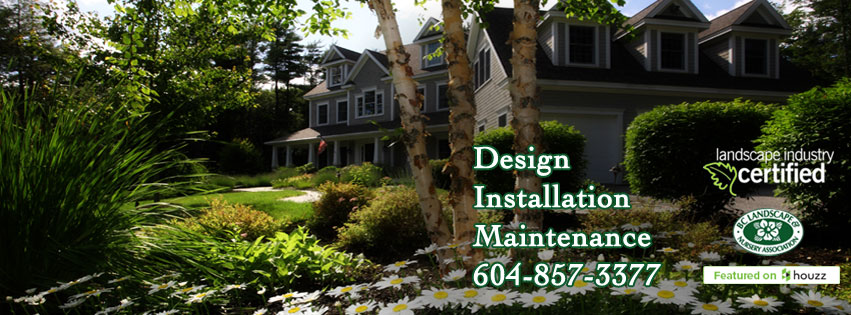 Vista Landscape Services | 23293 34a Ave, Langley Twp, BC V2Z 2H6, Canada | Phone: (604) 857-3377