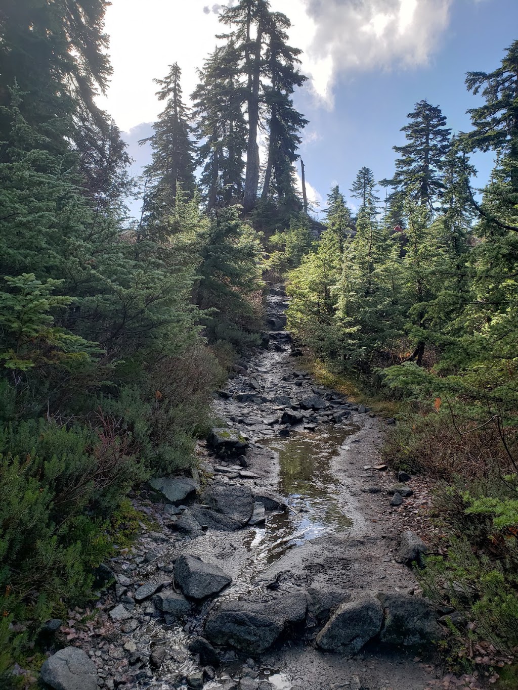 Saint Marks Summit | Howe Sound Crest Trail, Bowen Island, BC V0N 1G0, Canada